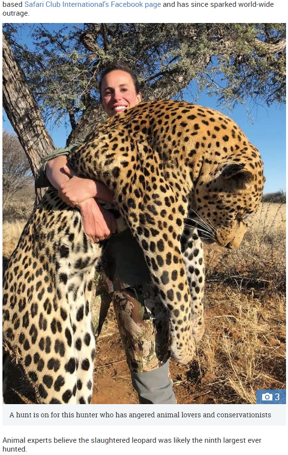 巨大なヒョウを仕留めて笑顔を向ける女性トロフィーハンター（画像は『The Sun　2018年9月18日付「‘FIND THIS B***H’ Female big game hunter slammed by celebrities and animal rights activists after proudly hugging slaughtered leopard」』のスクリーンショット）