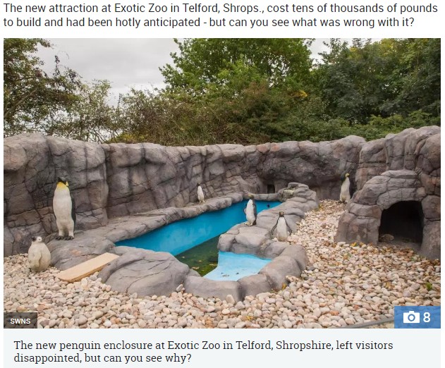 動物園のペンギンをよく見ると…（画像は『The Sun　2018年10月2日付「ZOO MUST BE KIDDING There’s something wrong with this penguin enclosure - can you see what it is?」（Credit: SWNS）』のスクリーンショット）