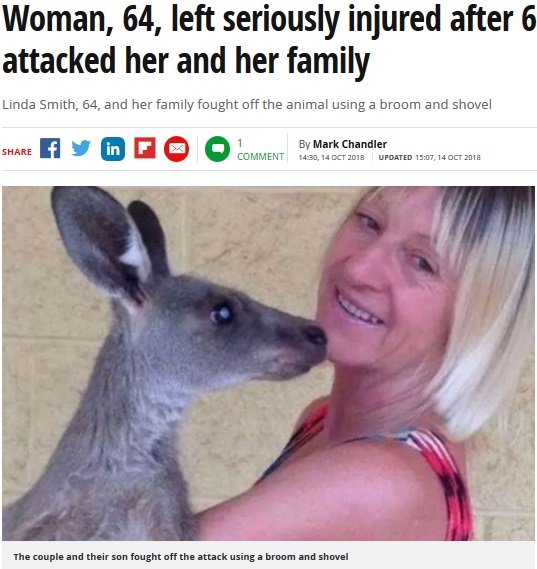 カンガルーに襲われ重傷を負った64歳女性（画像は『Mirror　2018年10月14日付「Woman, 64, left seriously injured after 6ft kangaroo attacked her and her family」』のスクリーンショット）