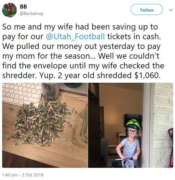 パパとママの貯金をシュレッダーにかけ粉々にした2歳児（画像は『BB（Benbelnap）　2018年10月2日付Twitter「So me and my wife had been saving up to pay for our ＠Utah_Football tickets in cash.」』のスクリーンショット）