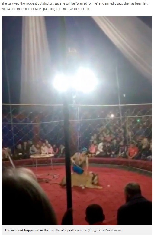 サーカスでパフォーマンス中の雌ライオンが突然豹変（画像は『Mirror　2018年10月29日付「Circus lion pulls girl, four, into ring and ‘sinks teeth into her head’ mid-performance in horrifying footage」（Image: east2west news）』のスクリーンショット）