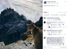 【海外発！Breaking News】標高2,500メートルの山頂で猫と遭遇　登山者仰天（ポーランド）