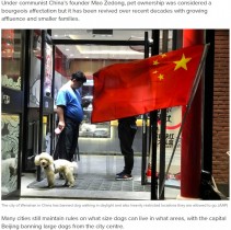 【海外発！Breaking News】公園での散歩禁止、綱は1メートルまで　厳しい犬規制始まる（中国）