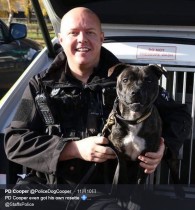【海外発！Breaking News】捨て犬だったスタッフォードシャー・ブル・テリアが優秀な警察犬に　SNSフォロワーは8000人（英）