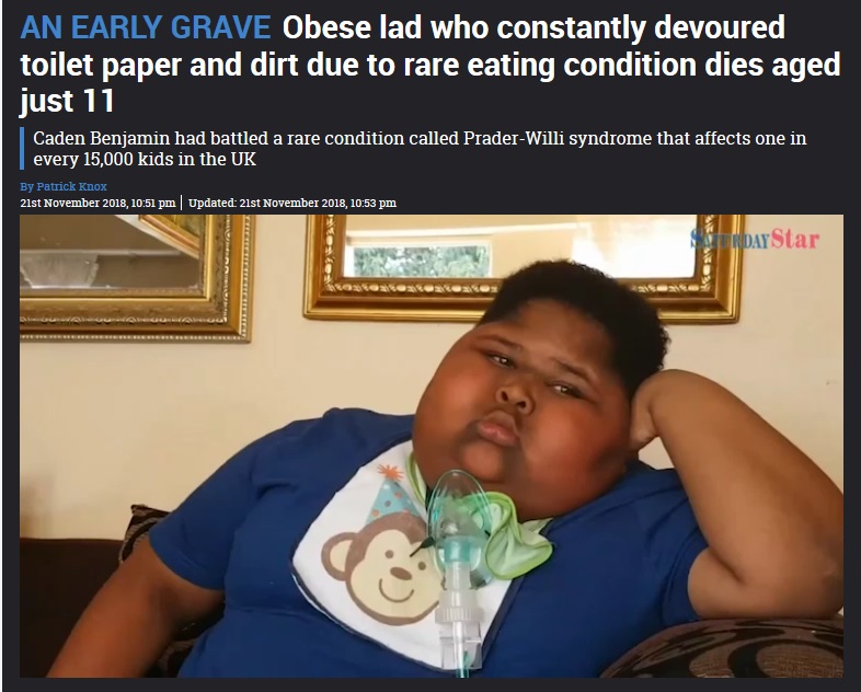 プラダー・ウィリー症候群と闘ってきた11歳少年が死亡（画像は『The Sun　2018年11月21日付「AN EARLY GRAVE Obese lad who constantly devoured toilet paper and dirt due to rare eating condition dies aged just 11」』のスクリーンショット）
