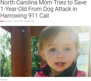 【海外発！Breaking News】1歳女児、家族が飼っていたピットブルに襲われ死亡（米）