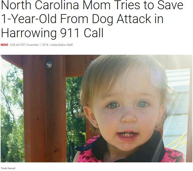 飼い犬に噛まれ死亡した1歳女児（画像は『Inside Edition　2018年11月1日付「North Carolina Mom Tries to Save 1-Year-Old From Dog Attack in Harrowing 911 Call」』のスクリーンショット）