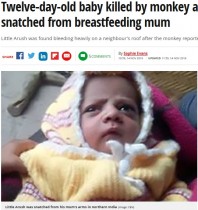 【海外発！Breaking News】サルが授乳中の母親から乳児を奪い死なせる（印）