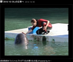【エンタがビタミン♪】武田梨奈「ただの青春映画にしてはいけない…」　『ボクはボク、クジラはクジラで、泳いでいる。』への思い明かす