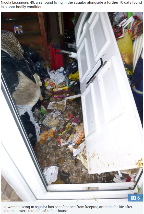 劣悪な環境の中で14匹の猫と暮らしていた女が逮捕（画像は『The Sun　2018年11月13日付「BRITAIN’S FILTHIEST HOME? Woman left four dead cats rotting in flea-ridden house that was so filthy a pile of POO blocked front door」』のスクリーンショット）