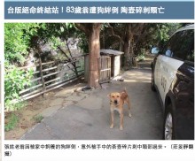 【海外発！Breaking News】 愛犬がじゃれて転倒　割れた急須の破片が首に刺さり男性死亡（台湾）