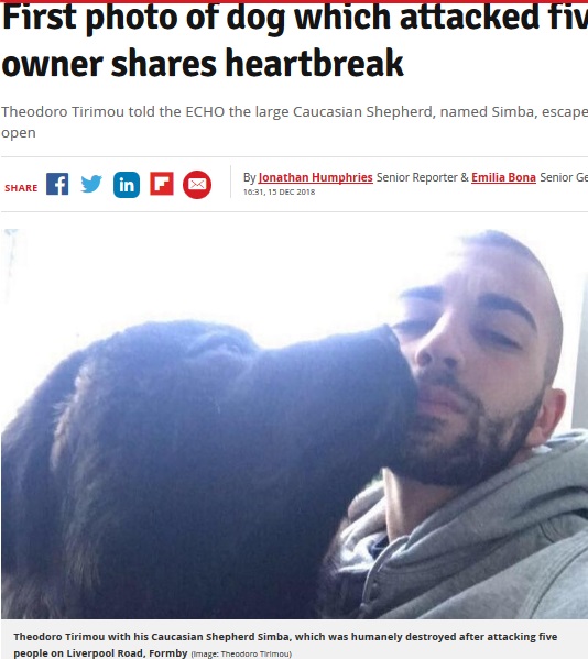 通行人5人を襲った大型犬の飼い主、犬を擁護（画像は『Liverpool Echo　2018年12月15日付「First photo of dog which attacked five people as owner shares heartbreak」（Image: Theodoro Tirimou）』のスクリーンショット）