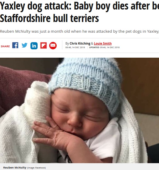 飼い犬に襲われて入院していた生後1か月の男児が死亡（画像は『Mirror　2018年12月14日付「Yaxley dog attack: Baby boy dies after being savaged by Staffordshire bull terriers」（Image: Facebook）』のスクリーンショット）