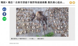 【海外発！Breaking News】台湾台東県の田んぼで野鳥の大量死が見つかる