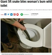 【海外発！Breaking News】トイレに体長1.6mのニシキヘビ、便座に座った女性に噛みつく（豪）