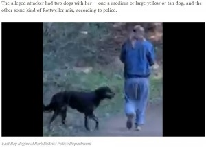 【海外発！Breaking News】襲ってきた犬にペッパースプレーを噴射したジョギング中の女性に逆上　飼い主が噛みつく（米）