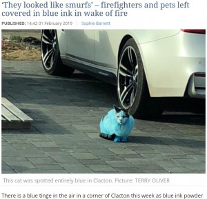 【海外発！Breaking News】インクを保管した納屋の火事で多くのペットが青く染まる（英）