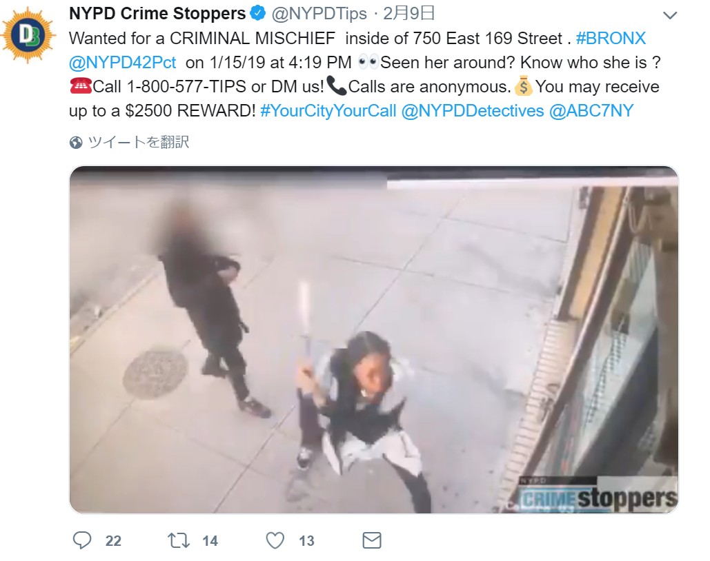 レストランの窓ガラスをバットで叩き割る妊婦（画像は『NYPD Crime Stoppers　2019年2月9日付Twitter「Wanted for a CRIMINAL MISCHIEF  inside of 750 East 169 Street .」』のスクリーンショット）