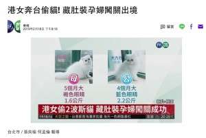 【海外発！Breaking News】ペットショップから猫を盗んだ香港人の女、腹部に隠して出国（台湾）
