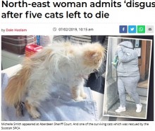 【海外発！Breaking News】複数のペットを飼育放棄した女　10年の飼育禁止令も、判事「犬は飼ってもいい」（英）