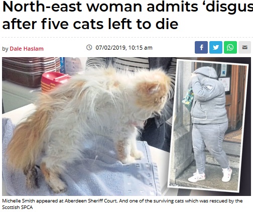 栄養失調状態だった猫と飼育放棄していた女（画像は『Evening Express　2019年2月7日付「North-east woman admits ‘disgusting’ neglect after five cats left to die」（Scottish SPCA）』のスクリーンショット）
