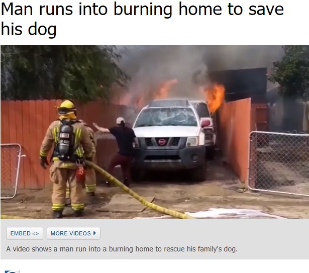愛犬を救うため、飼い主は炎の中へ（画像は『ABC7 KABC　2019年3月15日付「Man runs into burning home to save his dog」』のスクリーンショット）