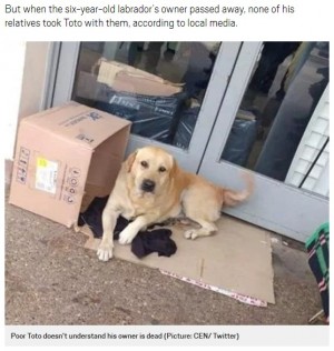 【海外発！Breaking News】亡き飼い主を病院玄関で待ち続けたアルゼンチンの“忠犬ハチ公”