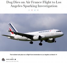 【海外発！Breaking News】エールフランスKLM機内でハスキー犬死亡　貨物室の酸素不足が原因か