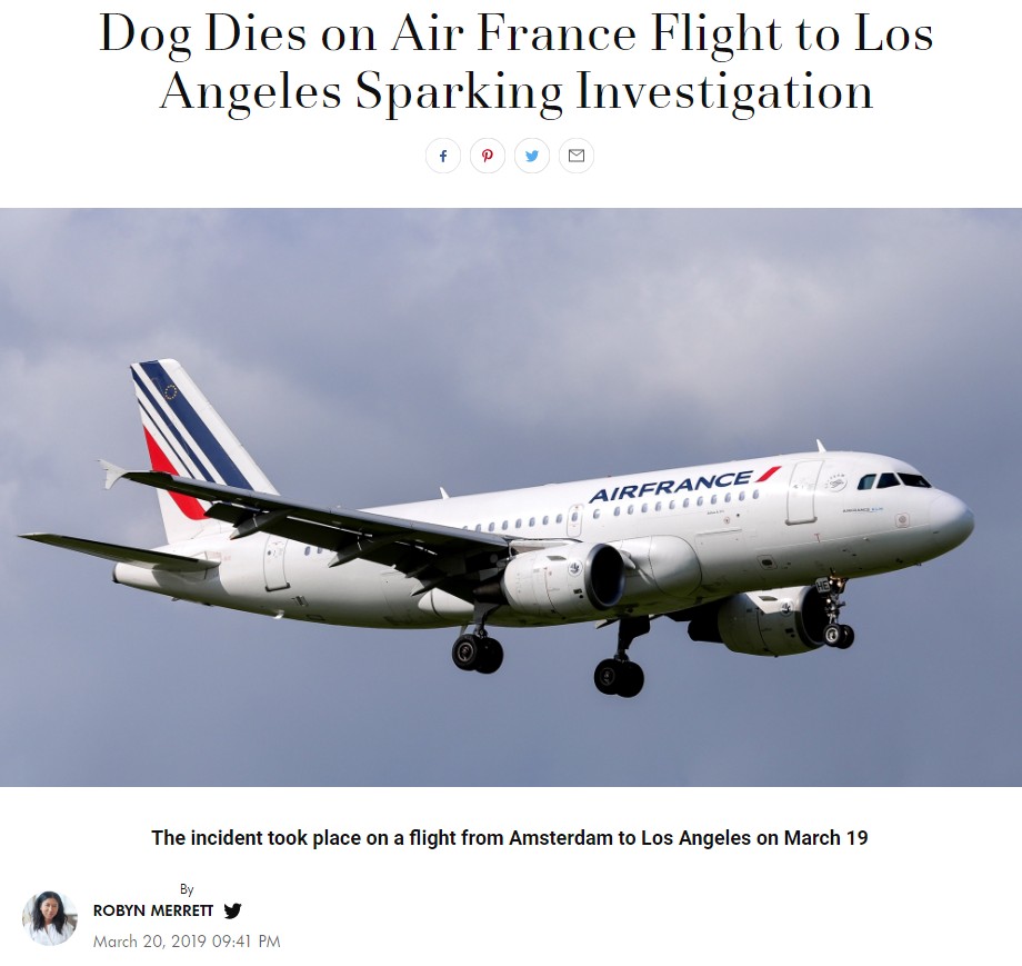 エールフランスKLM機内貨物室で犬の死亡事故（画像は『PEOPLE.com　2019年3月20日付「Dog Dies on Air France Flight to Los Angeles Sparking Investigation」』のスクリーンショット）