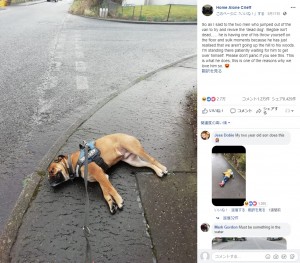 【海外発！Breaking News】気に入らない散歩道で死んだふりをする犬（スコットランド）