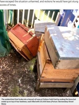 【海外発！Breaking News】フェンスから蜂の巣箱に落ちた強盗未遂犯、8万匹から猛攻撃（英）