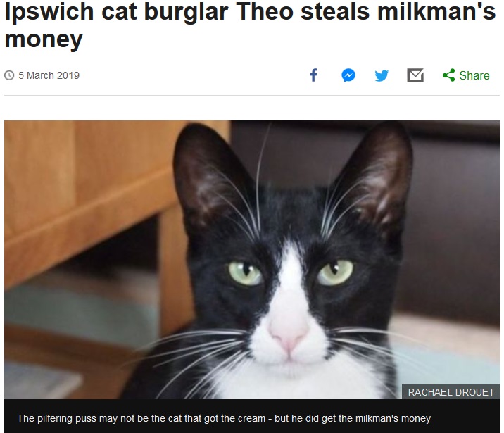牛乳配達人のお金を盗んだ猫（画像は『BBC News　2019年3月5日付「Ipswich cat burglar Theo steals milkman’s money」（RACHAEL DROUET）』のスクリーンショット）