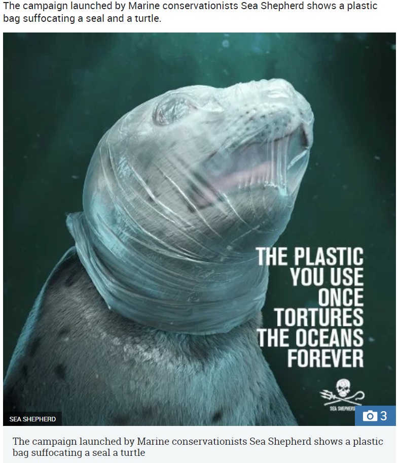 シーシェパードがプラスチック汚染を世間に訴える（画像は『The Sun　2019年3月20日付「PLASTIC HELL Horrifying images of ‘tortured’ seal and turtle wrapped in plastic highlight horror of world’s plastic waste crisis」（Credit: SEA SHEPHERD）』のスクリーンショット）
