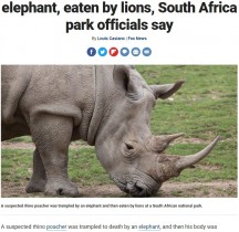 【海外発！Breaking News】サイの密猟者、象に踏み殺された後ライオンの餌食となる（南ア）