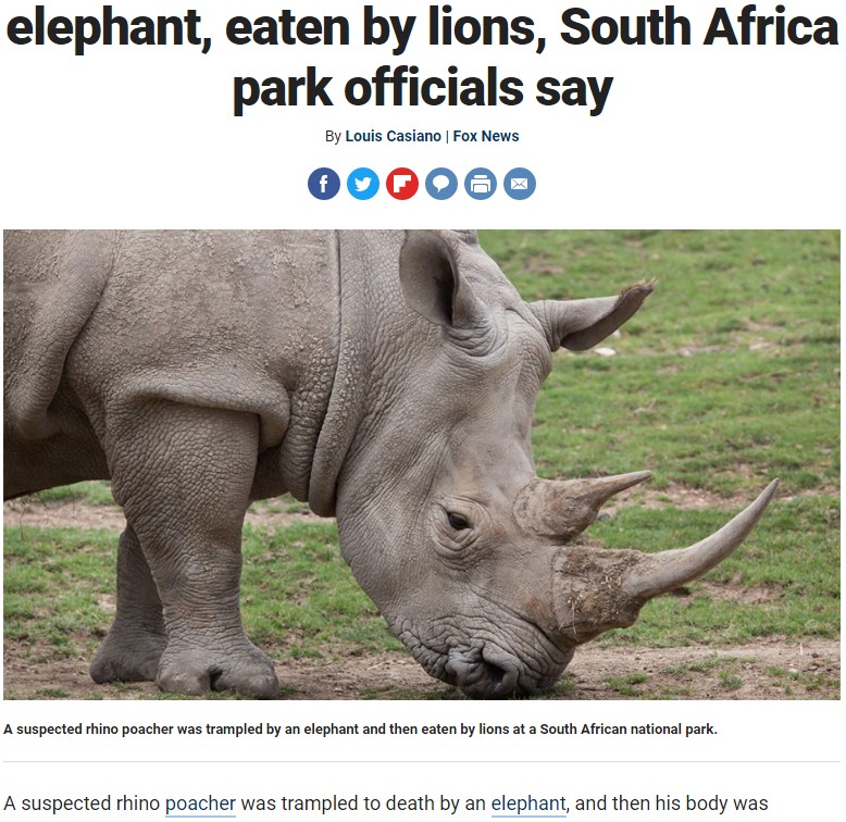 サイの密猟者が象に殺されライオンの餌食に（画像は『Fox News　2019年4月7日付「Suspected rhino poacher trampled by elephant, eaten by lions, South Africa park officials say」』のスクリーンショット）