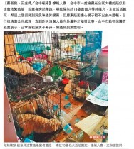 【海外発！Breaking News】住人行方不明のアパートで犬13匹が餓死（台湾）