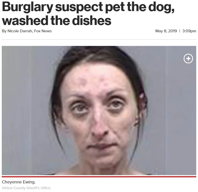 住居侵入容疑で逮捕された女（画像は『New York Post　2019年5月8日付「Burglary suspect pet the dog, washed the dishes」（Vinton County Sheriff’s Office）』のスクリーンショット）