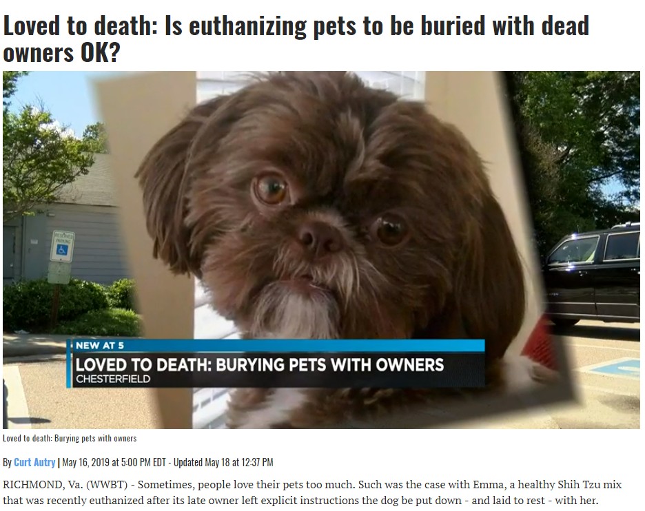 亡くなった飼い主の遺言により健康な犬が安楽死させられる（画像は『NBC12　2019年5月23日付「Loved to death: Is euthanizing pets to be buried with dead owners OK?」』のスクリーンショット）