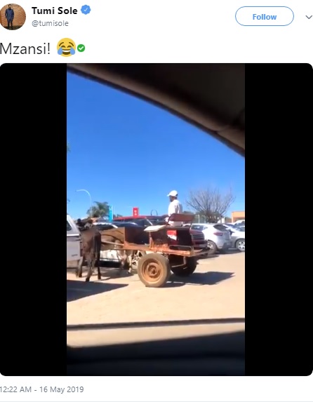 ロバ馬車をバックで出す達人（画像は『Tumi Sole　2019年5月16日付Twitter「Mzansi!」』のスクリーンショット）