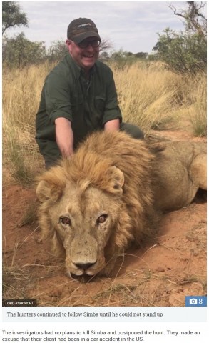 【海外発！Breaking News】人間の傲慢の極み　娯楽と金のため繁殖・殺されるライオン　「ライオン・ファームビジネス」の残酷さ（南ア）＜動画あり＞