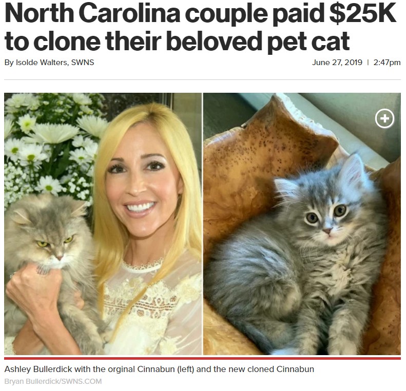 生前の愛猫シナバン（左）とシナバンそっくりのクローン猫（画像は『New York Post　2019年6月27日付「North Carolina couple paid ＄25K to clone their beloved pet cat」（Bryan Bullerdick/SWNS.COM）』のスクリーンショット）