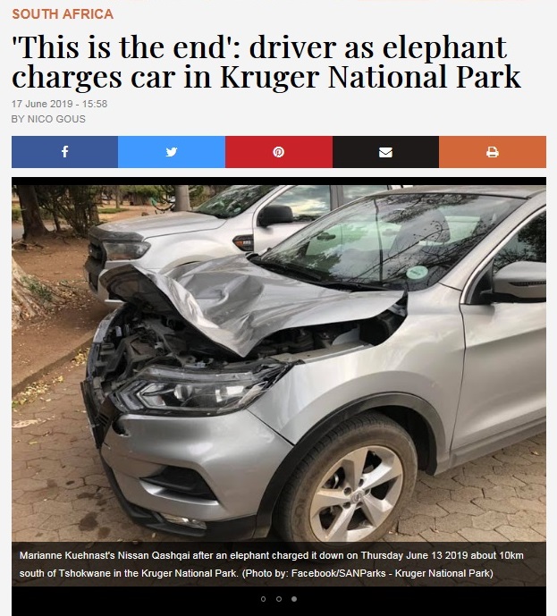 たった2回のゾウの攻撃で凹んでしまった車（画像は『TimesLIVE　2019年6月17日付「‘This is the end’: driver as elephant charges car in Kruger National Park」（Photo by:Facebook/SANParks - Kruger National Park）』のスクリーンショット）