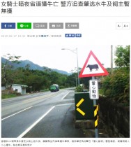 【海外発！Breaking News】道路を歩いていた水牛に衝突　原付ドライバー死亡（台湾）