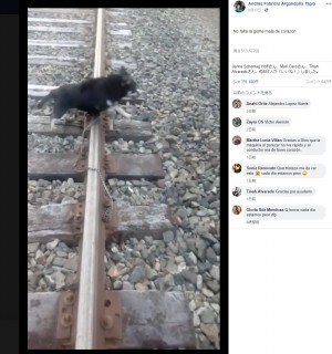 【海外発！Breaking News】列車を緊急停止した運転士、線路に繋がれた犬を救出（チリ）＜動画あり＞