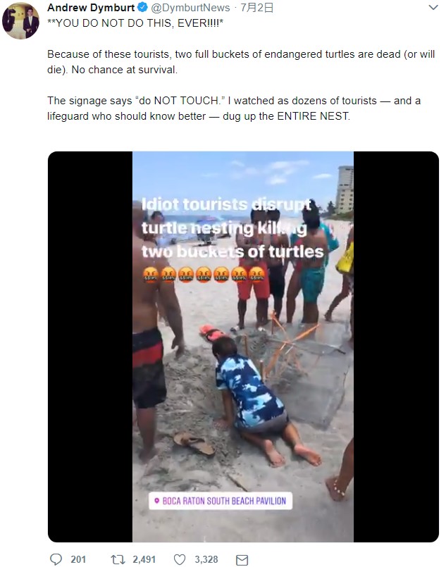 ウミガメの産卵場所を掘り起こす観光客（画像は『Andrew Dymburt　2019年7月2日付Twitter「**YOU DO NOT DO THIS, EVER!!!!*」』のスクリーンショット）