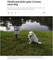 【海外発！Breaking News】噛まれた犬を救うため、2メートル級のワ二と格闘した75歳男性（米）