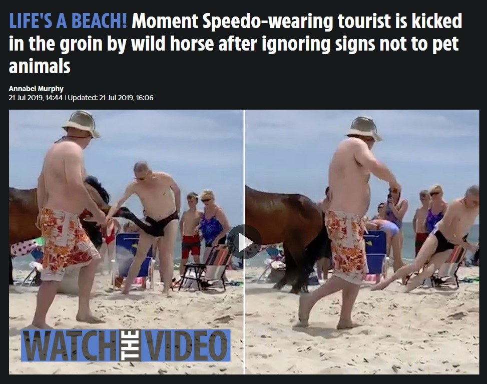 馬に触れとんでもない目に…（画像は『The Sun　2019年7月21日付「LIFE’S A BEACH! Moment Speedo-wearing tourist is kicked in the groin by wild horse after ignoring signs not to pet animals」』のスクリーンショット）