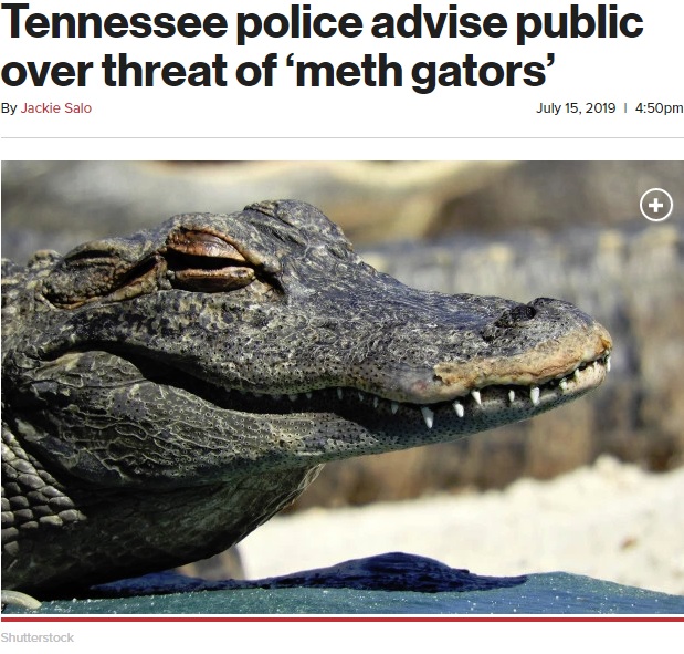 ドラッグ漬けのアリゲーター出現も？（画像は『New York Post　2019年7月15日付「Tennessee police advise public over threat of ‘meth gators’」（Shutterstock）』のスクリーンショット）