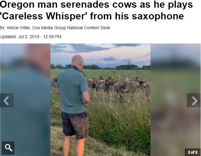 サックスの音につられて集まる牛たち（画像は『FOX13 Memphis　2019年7月2日付「Oregon man serenades cows as he plays ‘Careless Whisper’ from his saxophone」』のスクリーンショット）