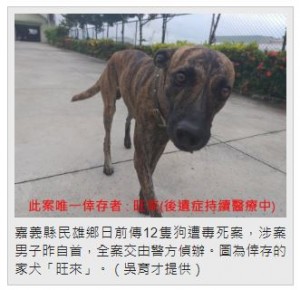 【海外発！Breaking News】「農作物を荒らされ腹が立った」農家の男、犬12匹を毒殺（台湾）